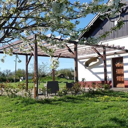 مبيت وإفطار Tiszaszolos Tisza White House المظهر الخارجي الصورة