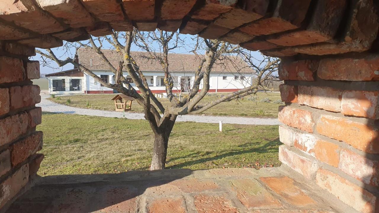 مبيت وإفطار Tiszaszolos Tisza White House المظهر الخارجي الصورة